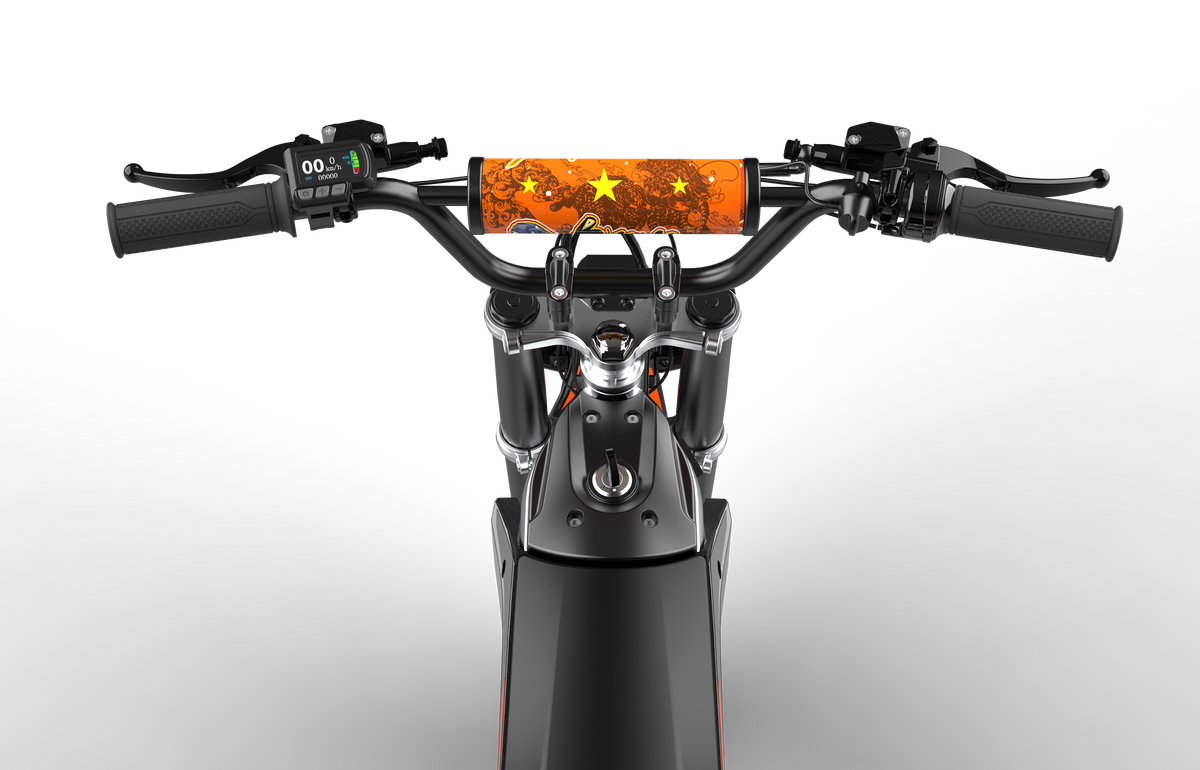 Hydraulic Disc + E-ABS